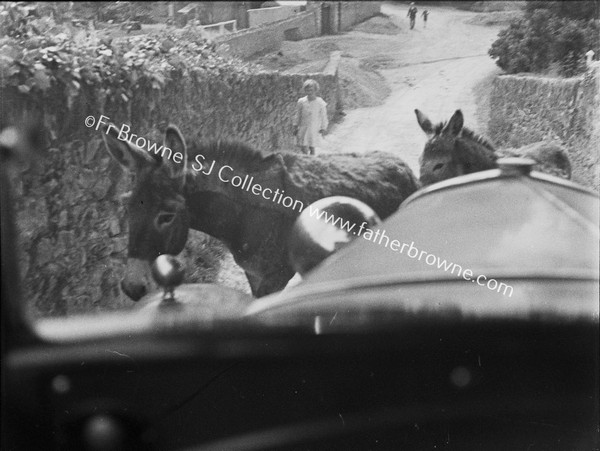 THROUGH WINDSCREEN DONKEYS AND CHILD